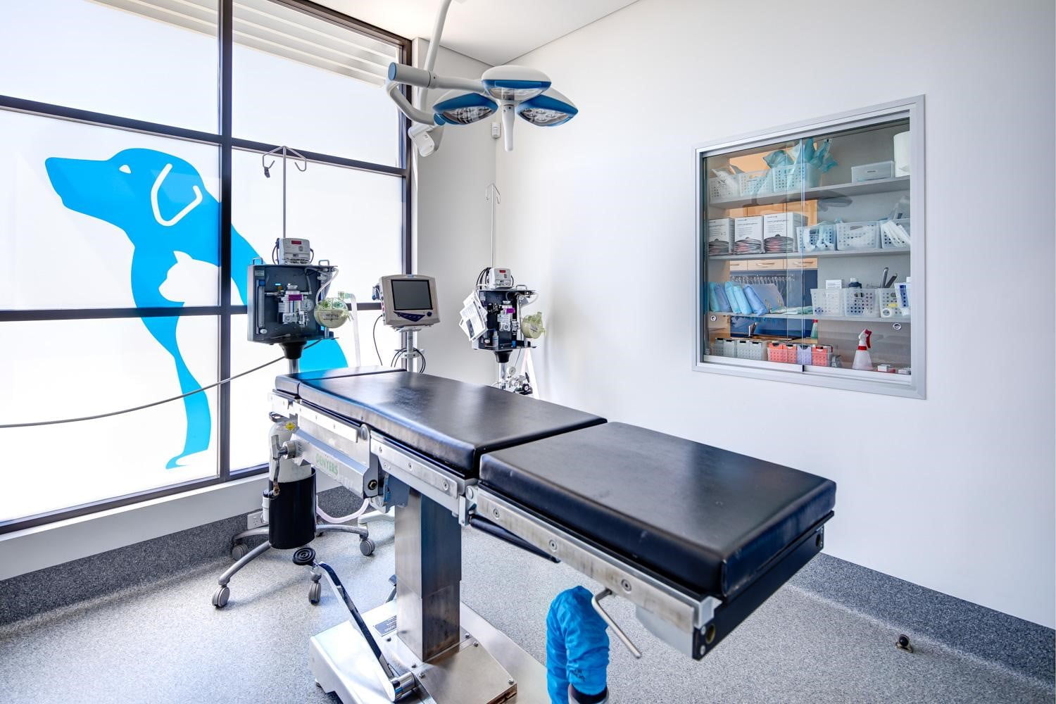 Veterinary Clinic Treatment Room