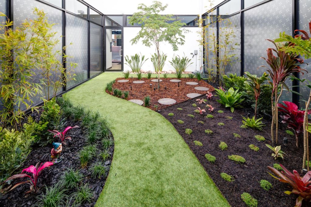 Indoor Plants and their Impact on Air Quality