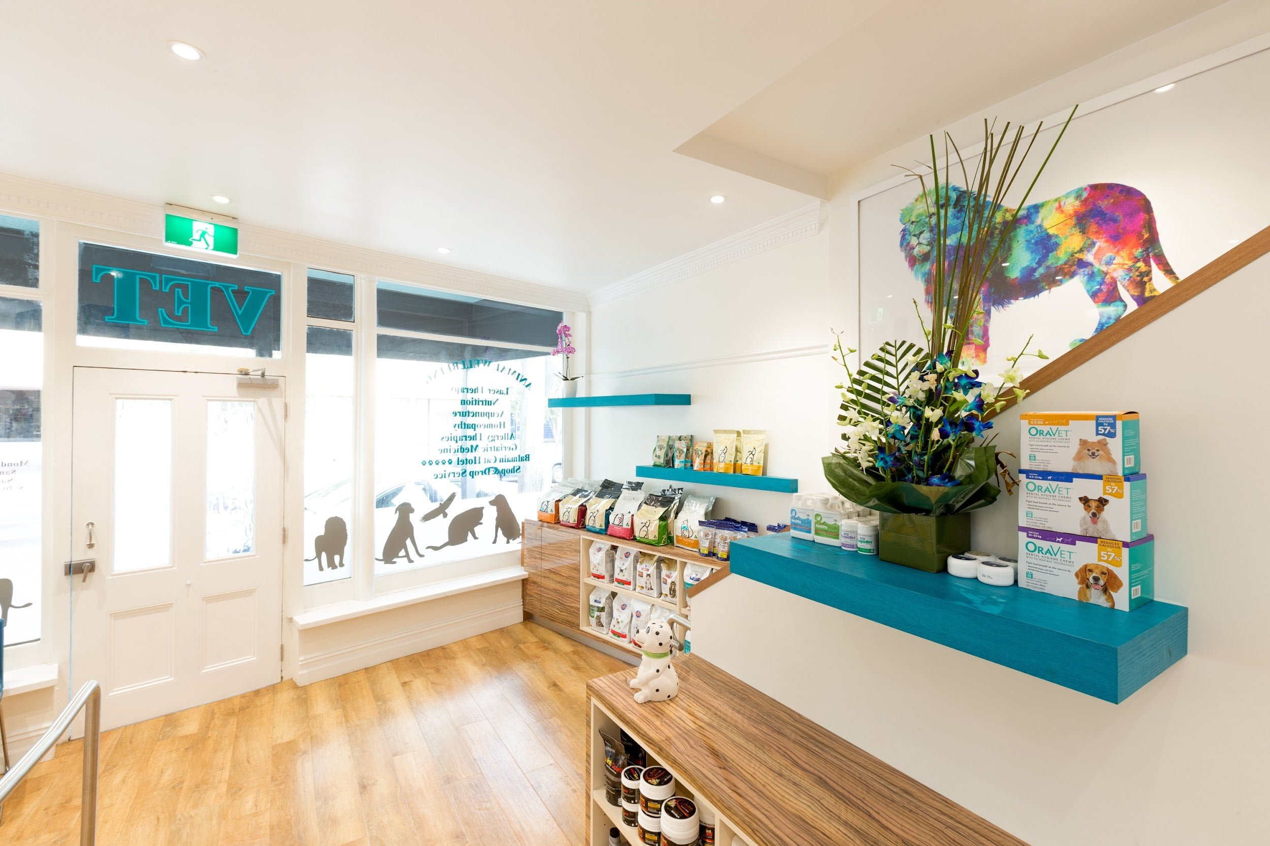 Designing A Modern Veterinary Clinic Top Trends And Tips Perfect 